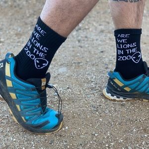 Are We Lions In The Zoo Socks 🧦